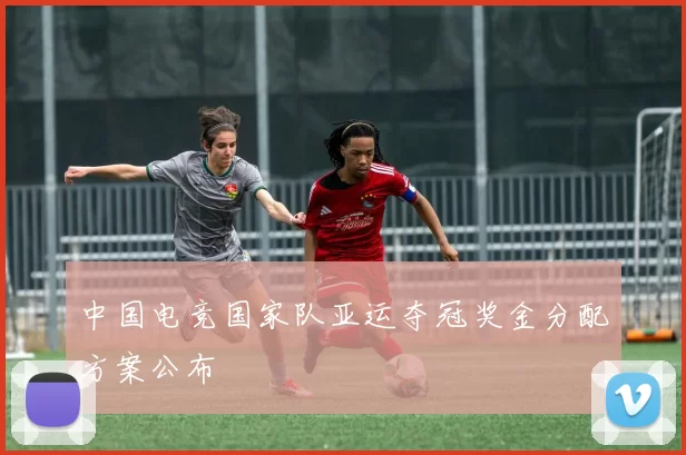 中国电竞国家队亚运夺冠奖金分配方案公布