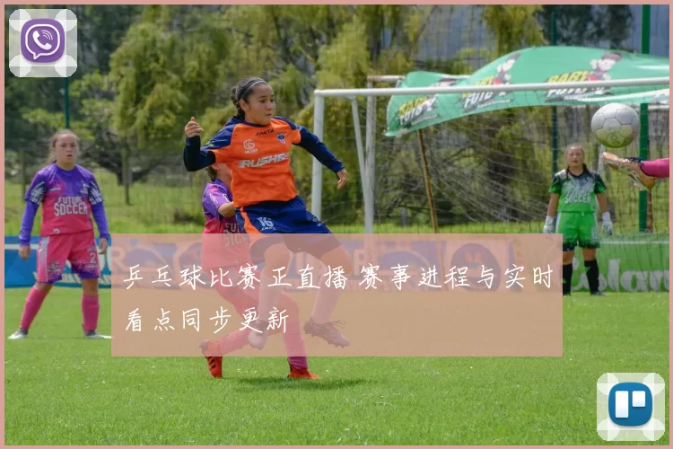 乒乓球比赛正直播 赛事进程与实时看点同步更新