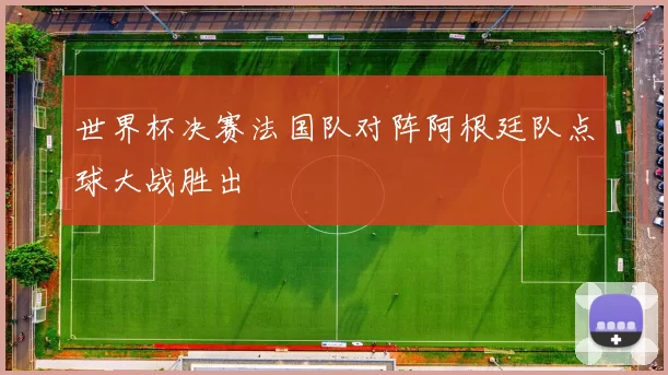 世界杯决赛法国队对阵阿根廷队点球大战胜出