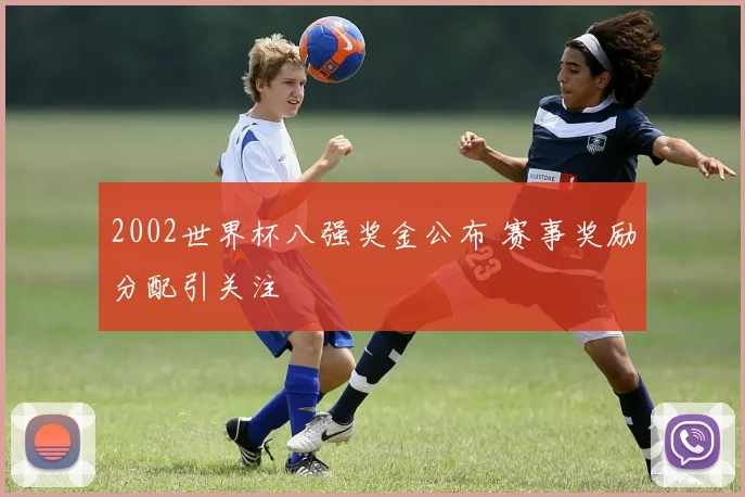 2002世界杯八强奖金公布 赛事奖励分配引关注