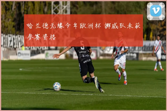 哈兰德无缘今年欧洲杯 挪威队未获参赛资格