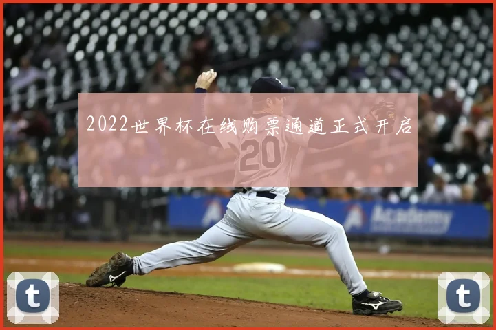2022世界杯在线购票通道正式开启