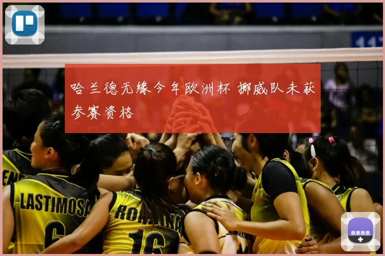 哈兰德无缘今年欧洲杯 挪威队未获参赛资格